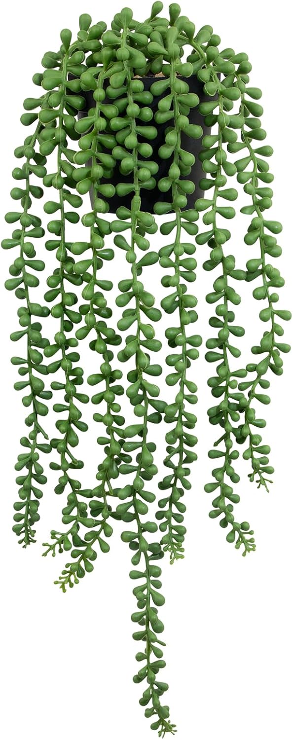 String Of Pearls Plant - Artificial String of Pearls Plant in