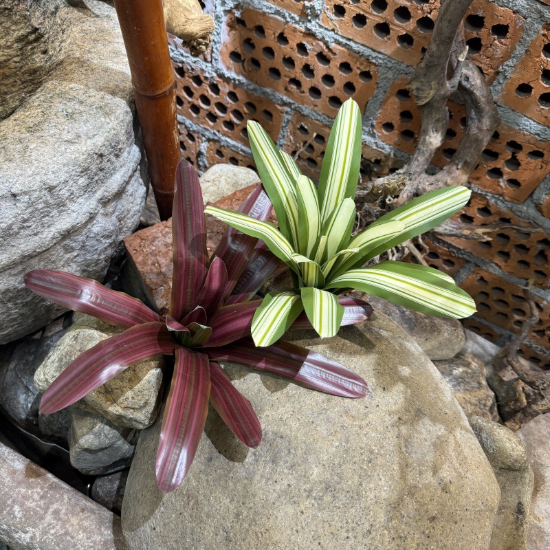 Artificial Bromeliad Potted Pl - String Of Pearls Plant recension och pris