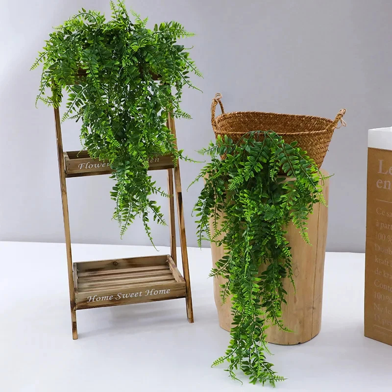Persian fern Leaves Vines Home - String Of Pearls Plant recension och pris