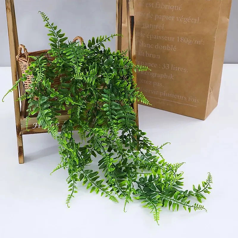 Persian fern Leaves Vines Home - String Of Pearls Plant recension och pris