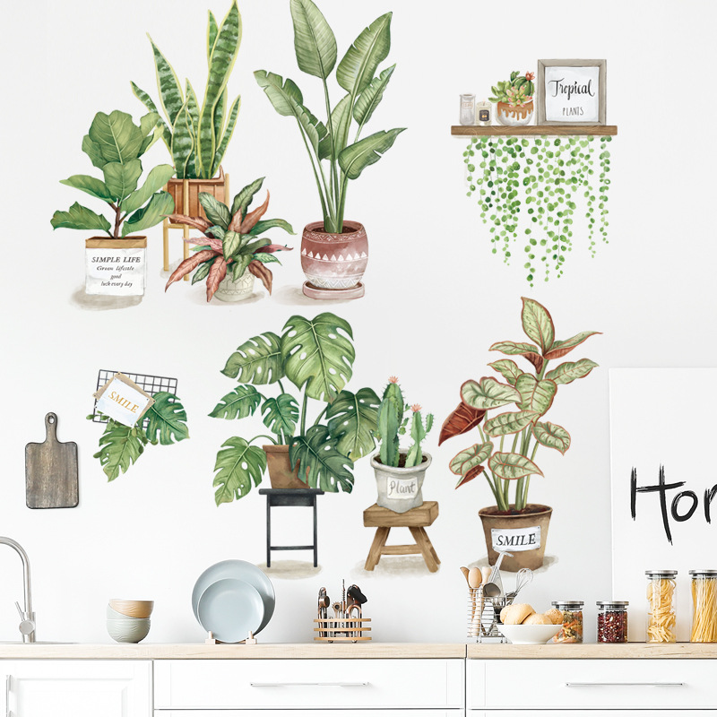 Watercolor Tropical Green Plan - String Of Pearls Plant recension och pris