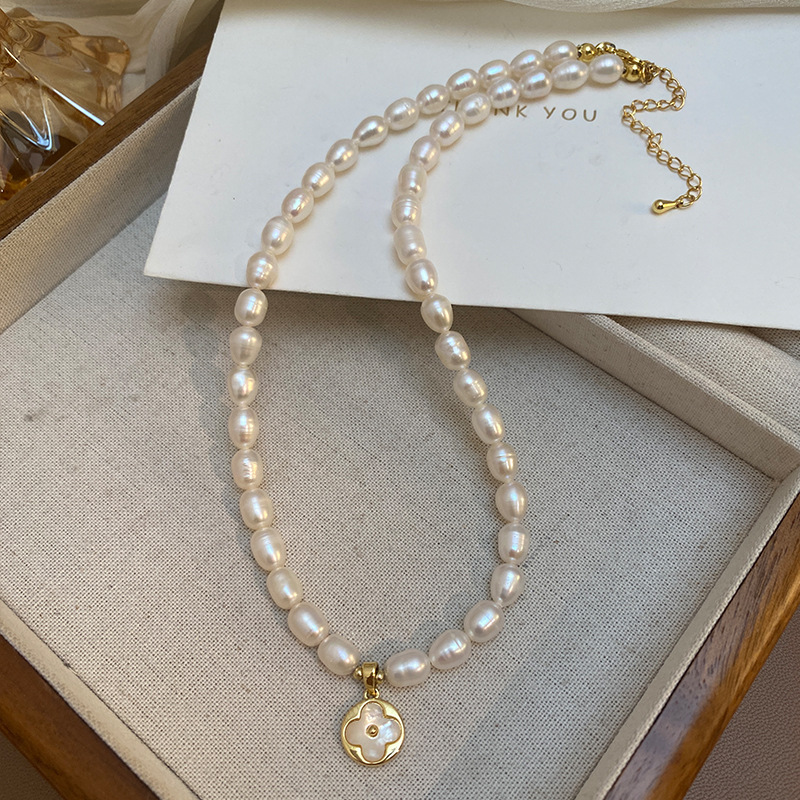 New Arrival Trendy Lucky Flowe - String Of Pearls Plant recension och pris
